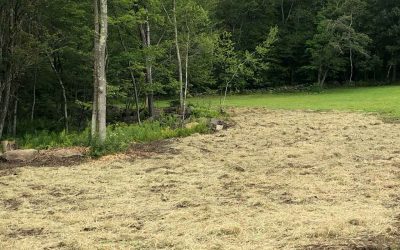 Carter Road – Warren, CT